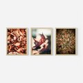 Zestaw obrazy w ramie 30x40 galeria - Jesienny, las, liście - rama drewno