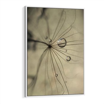 Obraz w ramie 80x120 - Delikatność dmuchawców - dmuchawce, krople - rama biała