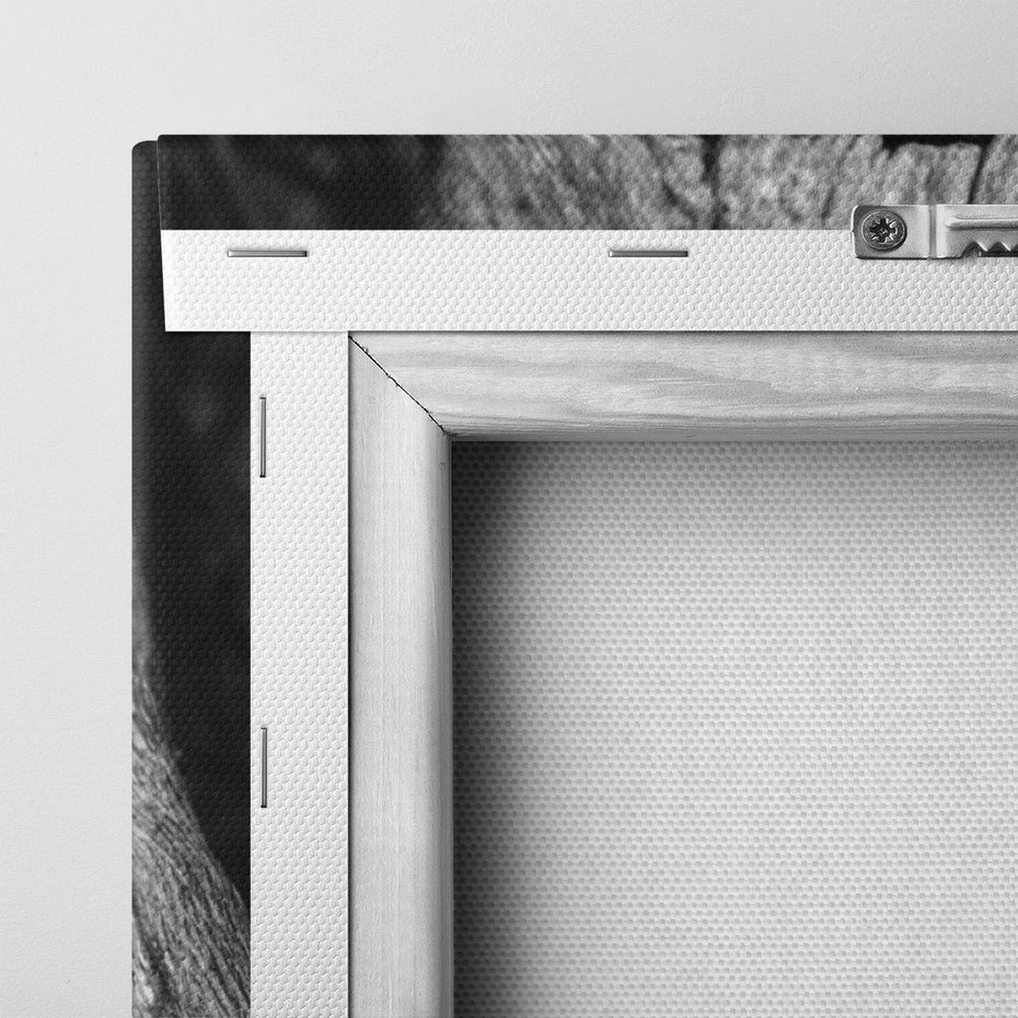 Obraz na płótnie 50x70 - Siła Natury - czarno biała fotografia, korzenie wielkiego drzewa