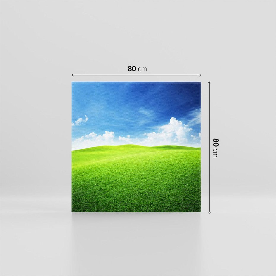 Obraz na płótnie 80x80 - Łąka pod Niebem - łąka, niebo