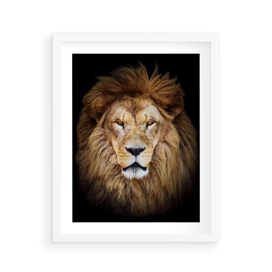 Plakat w ramie 40x50 - Król zwierząt w majestatycznym stylu - lew, król - rama biała
