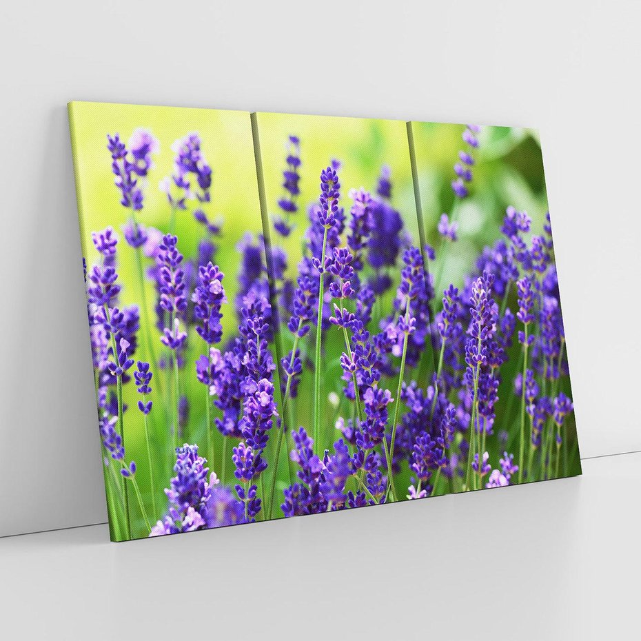 Obraz na płótnie 120x80 - Elegancka lawenda w pełnym rozkwicie - lawenda, kwiaty