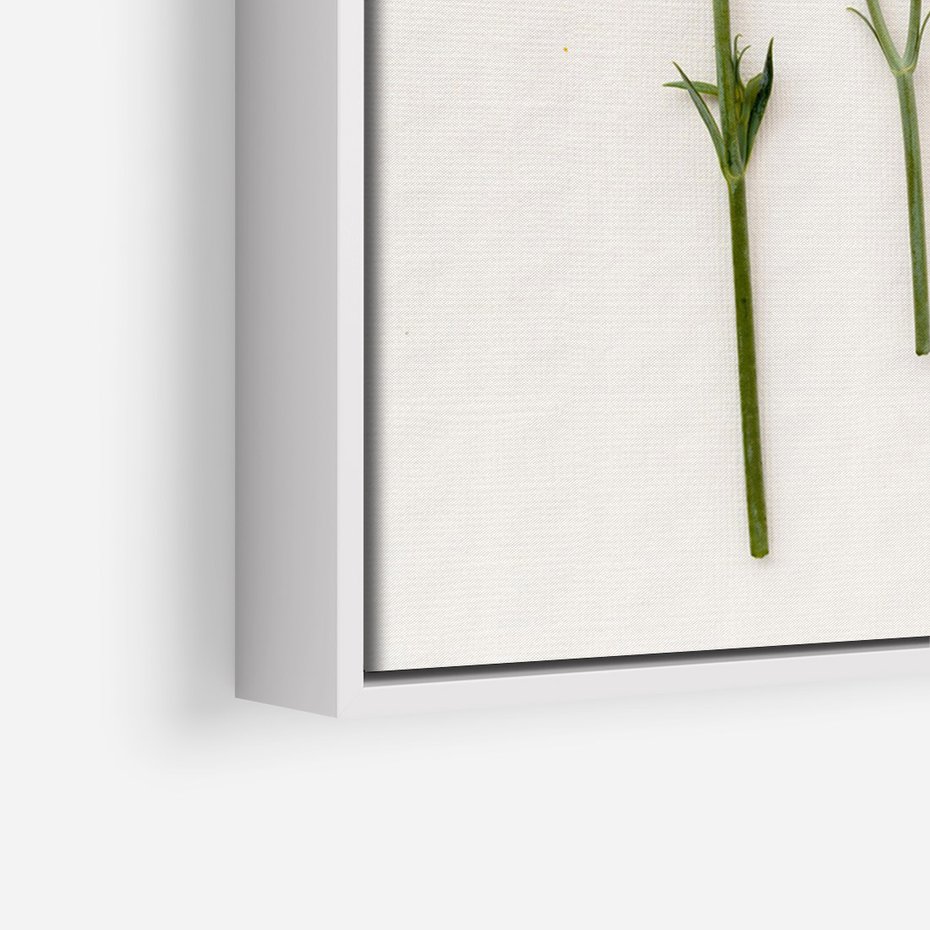 Obraz w ramie 50x70 - Białe kwiatowe uniesienia - białe, kwiaty - rama biała