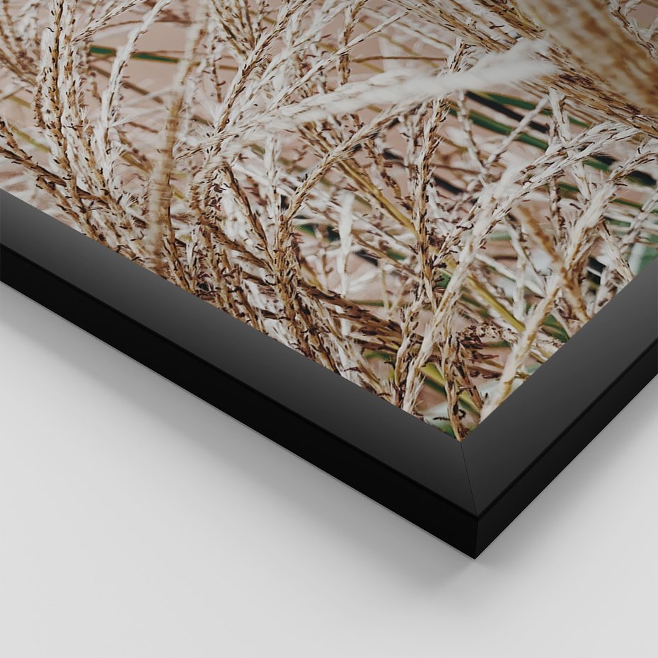 Zestaw obrazy w ramie 40x50 galeria - Boho, wnętrza, liście, trawy - rama czarna