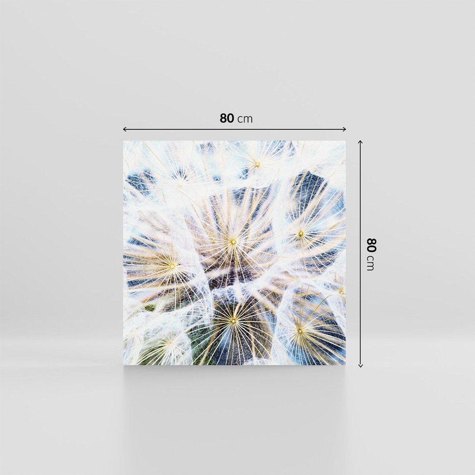 Obraz na płótnie 80x80 - marzenia w locie - dmuchawce, dmuchawiec