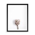 Plakat w ramie 50x70 - Suszona Roślina na Białym Tle - minimalizm, suszona roślina - rama czarna