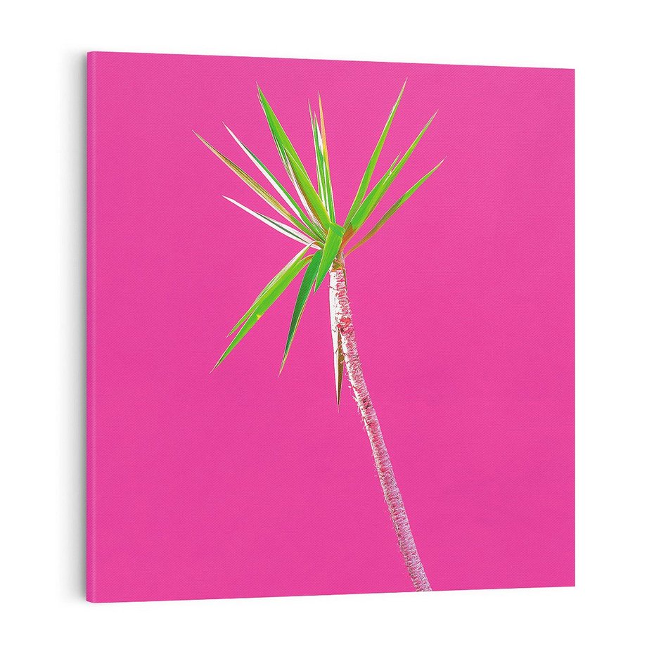 Obraz na płótnie 70x70 - Retro Stylizacja - palma, liście
