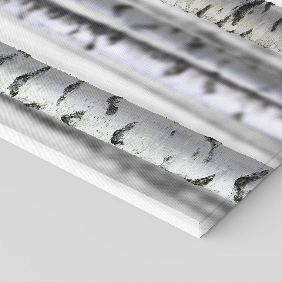 Obraz na płótnie 70x50 - Delikatność brzóz - brzozy, las