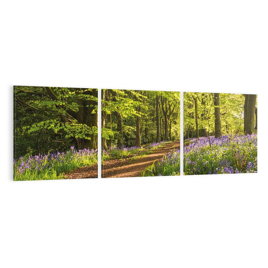 Obraz na płótnie 120x40 - Magia lasu: Drzewa w tajemniczej otoczce - las, drzewa