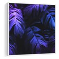 Obraz w ramie 50x50 - Mroczna Magia Dżungli - mroczna grafika, fioletowe liście monstery na czarnym tle - rama biała