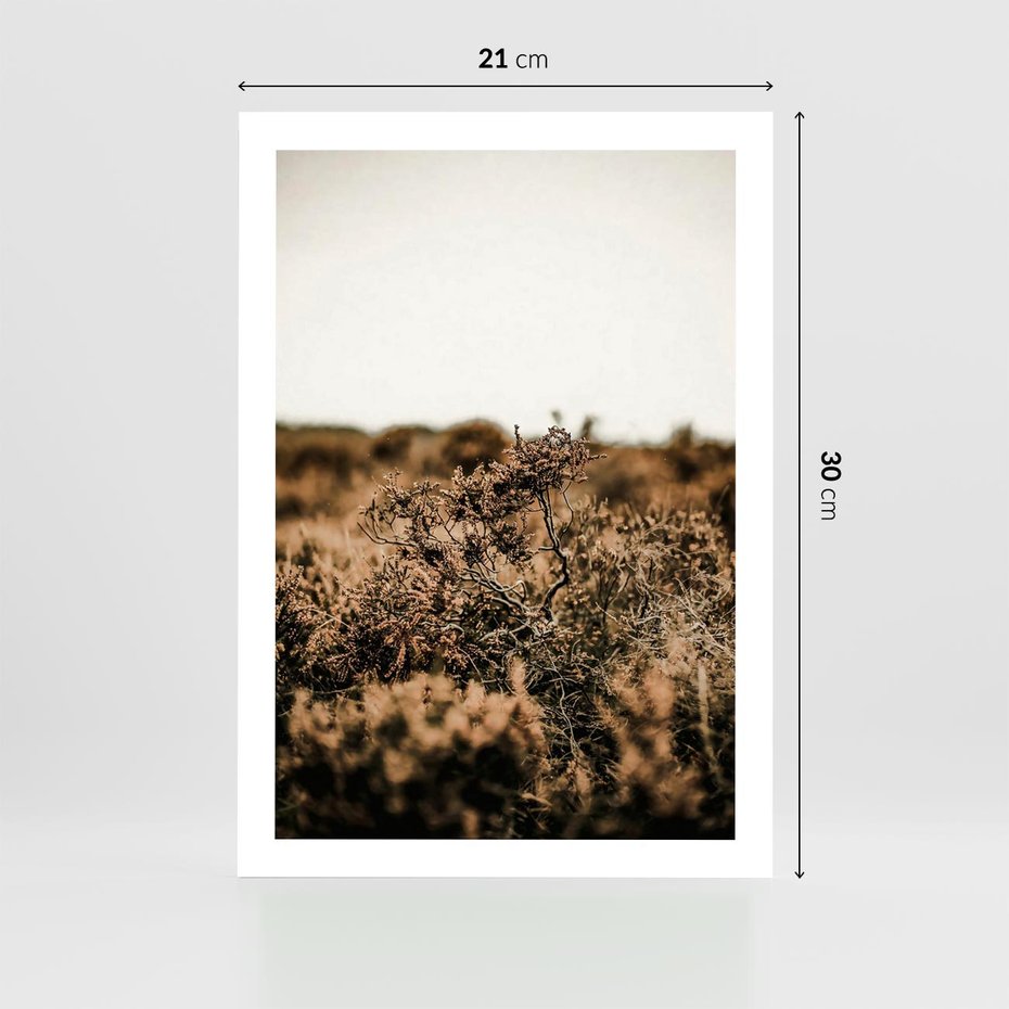 Plakat bez ramy 21x30 - Krajobraz W Naturze: Beże i Brązy - suche krzewy, natura