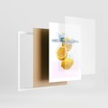 Plakat w ramie 30x40 - Świeże cytryny pełne smaku - cytryny, owoce - rama biała