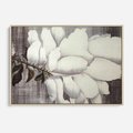 Obraz w ramie 70x50 - Tekstura Kwiatu - białe kwiaty, duży kwiat - rama drewno