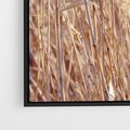 Obraz w ramie 50x50 - Mistrzowskie suche trawy - suche, trawy - rama czarna