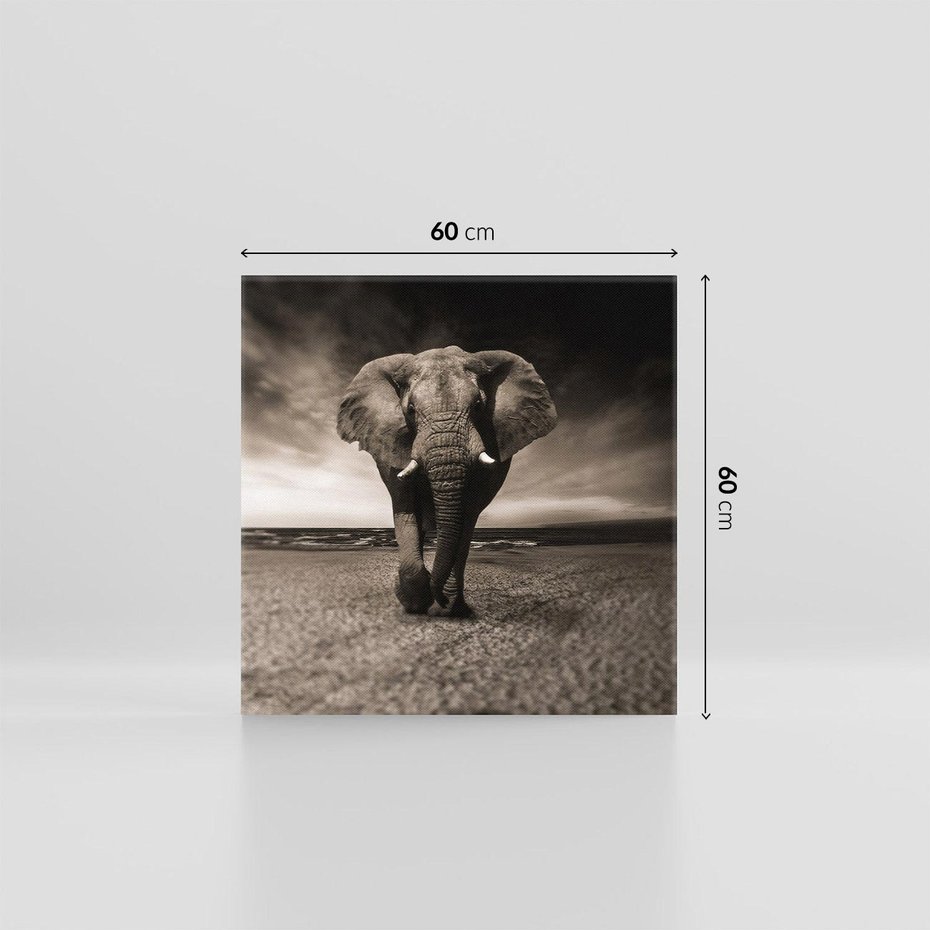 Obraz na płótnie 60x60 - Słoń - Wielki Przyjaciel Morza - słoń, plaża