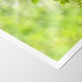 Plakat bez ramy 30x40 - Zielone liście natury - liści, zieleń