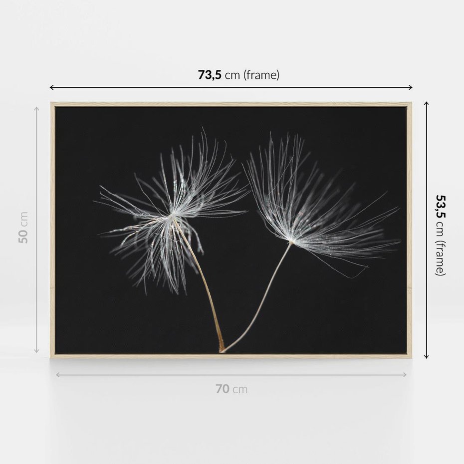 Obraz w ramie 70x50 - Delikatność Wiatru - dmuchawce, makro - rama drewno