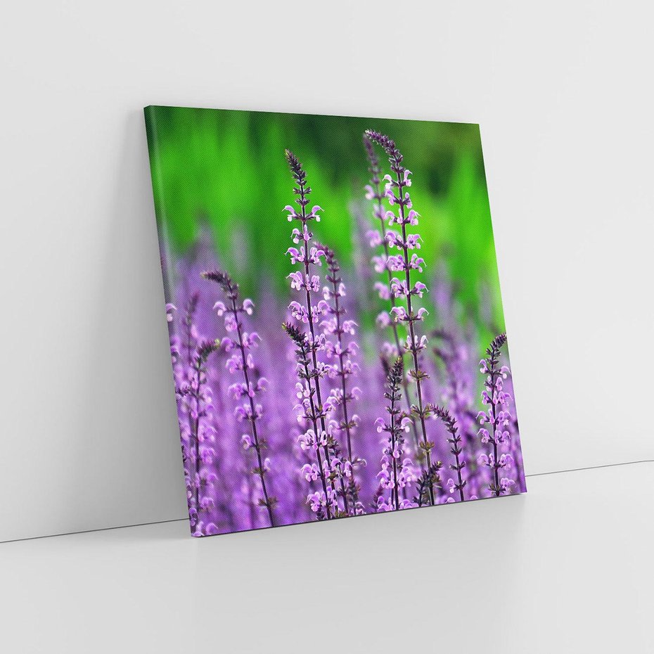 Obraz na płótnie 60x60 - Lawenda magia purpury - lawenda, kwiaty