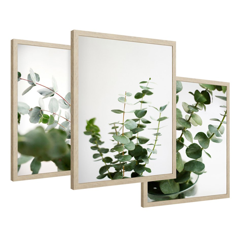 Zestaw obrazy w ramie 30x40 galeria - Eukaliptus, zielone, liście, minimalizm - rama drewno