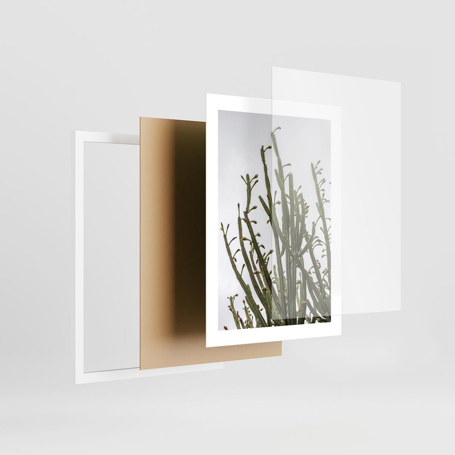 Plakat w ramie 30x40 - Ekskluzywna Roślinność - kaktusy, liście - rama biała