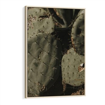 Obraz w ramie 70x100 - Urok Egzotyki - kaktusy, boho - rama drewno