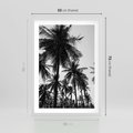 Plakat w ramie 50x70 - Mono Tropiki - palmy, drzewa palmowe - rama biała