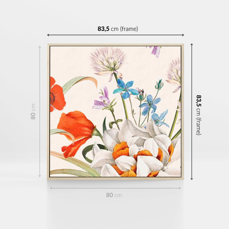 Obraz w ramie 80x80 - Polne Kwiaty - polne kwiaty, na białym tle - rama drewno