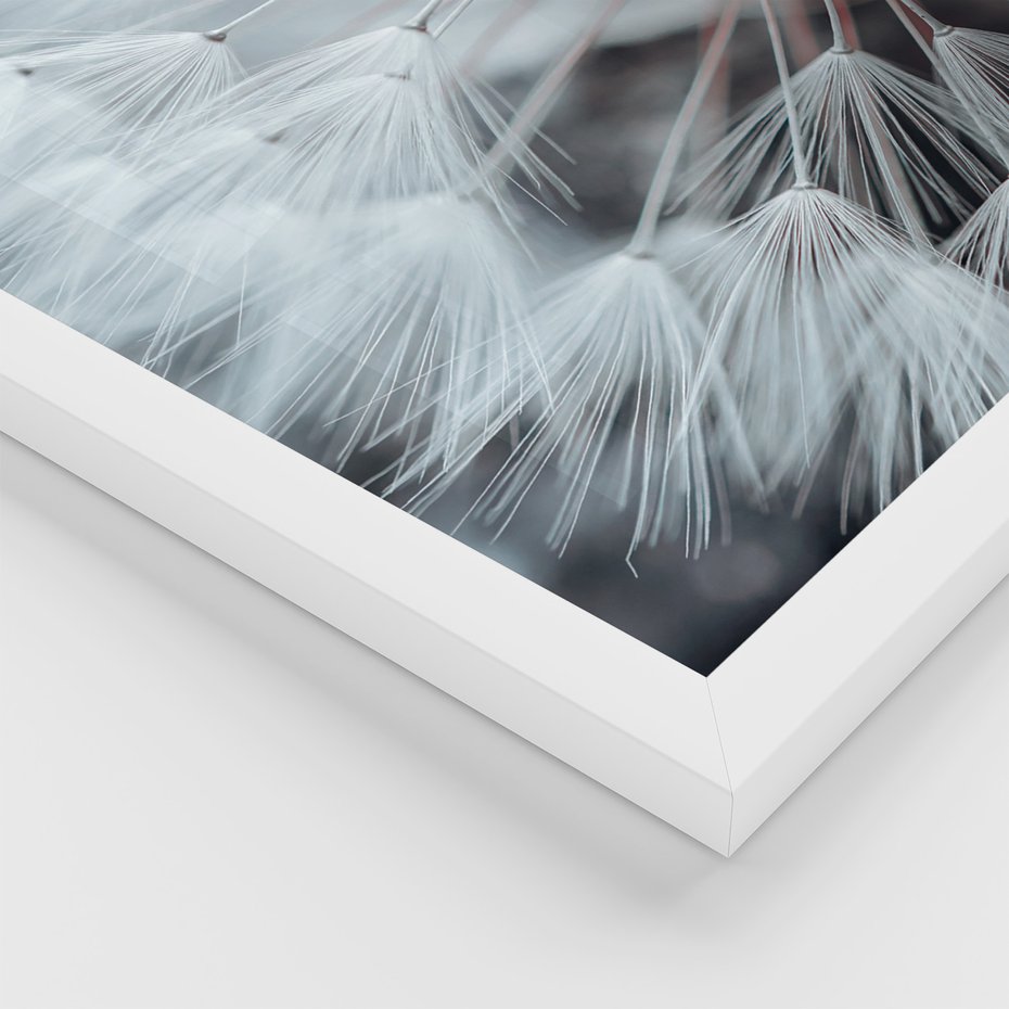 Zestaw obrazy w ramie 30x40 galeria - Dmuchawiec, nowoczesny, minimalizm - rama biała