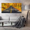 Obraz na płótnie 140x70 - Droga przez jesienny las - droga, las