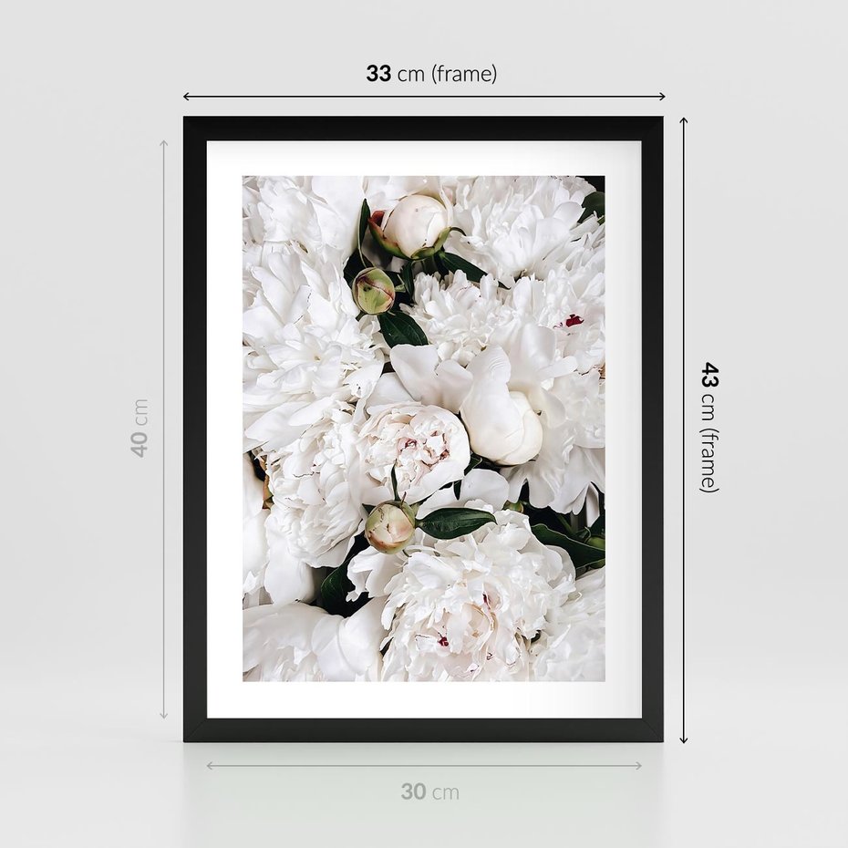 Plakat w ramie 30x40 - Modne Białe Kwiaty - białe kwiaty, płatki - rama czarna