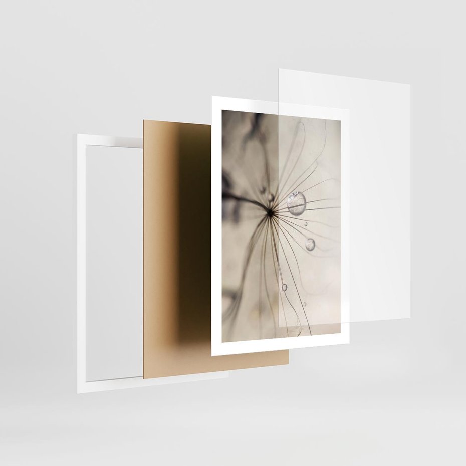 Plakat w ramie 50x70 - Makro Uroda: Kropla na Dmuchawcu - zbliżenie makro, kropla wody na ziarenku dmuchawca - rama biała