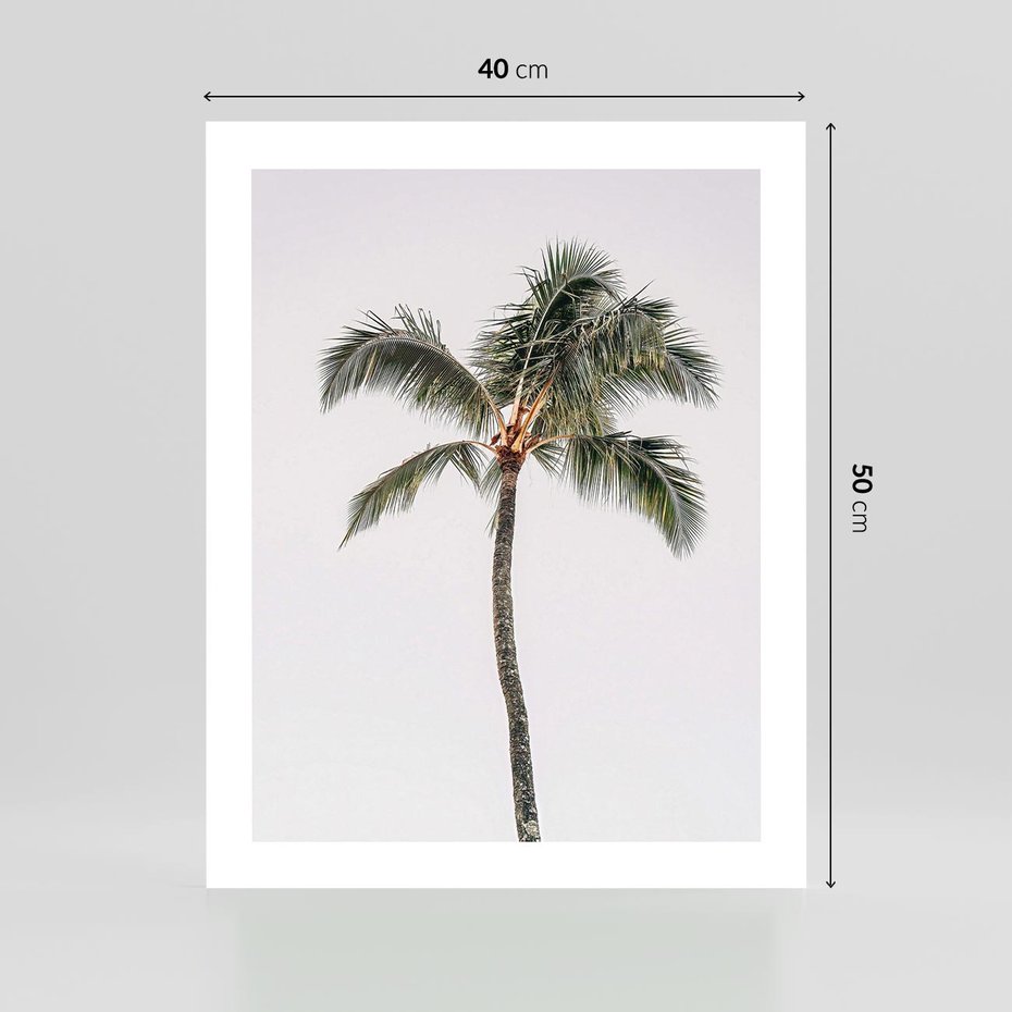 Plakat bez ramy 40x50 - Wakacyjne Marzenia - palma na tle nieba