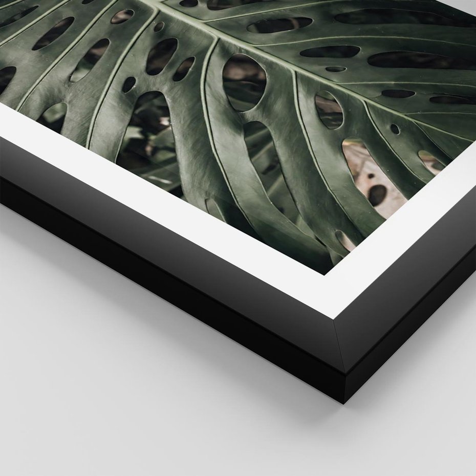 Plakat w ramie 30x40 - Majestatyczny Liść Monstery - liść monstery, majestatyczny liść - rama czarna