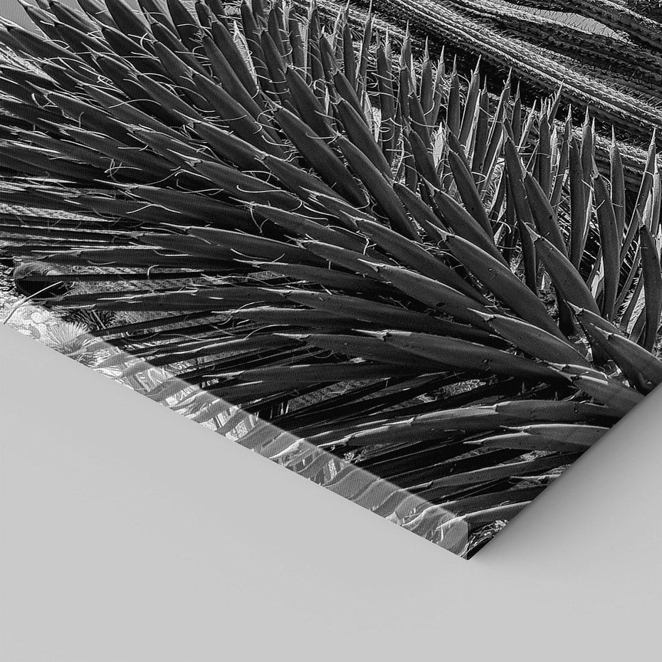 Obraz na płótnie 120x80 - Pustynny Klimat - czarno białe zdjecie, pustynia