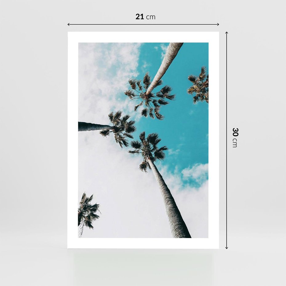 Plakat bez ramy 21x30 - Palmy w Gorącym Niebie - palmy, ujęcie z dołu