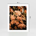 Plakat bez ramy 30x40 - Ciepło Jesieni - jesienne pomarańczowe liśćie, jesień