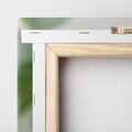 Obraz na płótnie 60x60 - Liście eukaliptusa w naturze - eukaliptus, liście