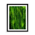 Plakat w ramie 50x70 - Bambusowy urok zielonej harmonii - bambus, zieleń - rama czarna