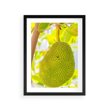 Plakat w ramie 40x50 - Tropikalny raj nad morzem - tropikalny, owoc - rama czarna