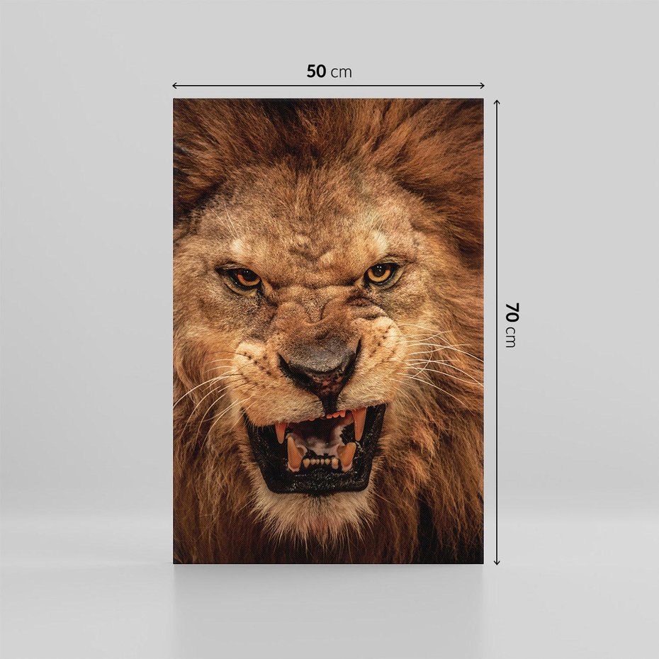 Obraz na płótnie 50x70 - Władca Sawanny - lew, sawanna