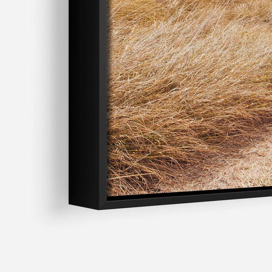 Obraz w ramie 50x50 - Tajemnicza Ścieżka - latarnia morska w oddali, suche trawy - rama czarna