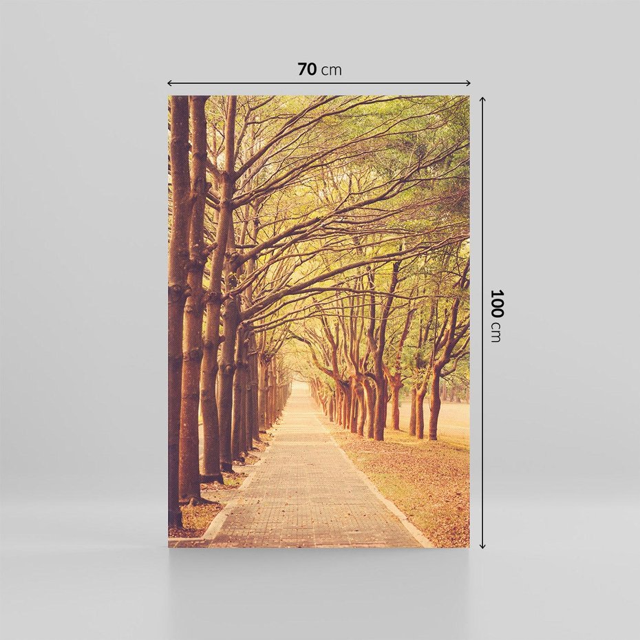 Obraz na płótnie 70x100 - Wędrówka między drzewami - droga, drzewa