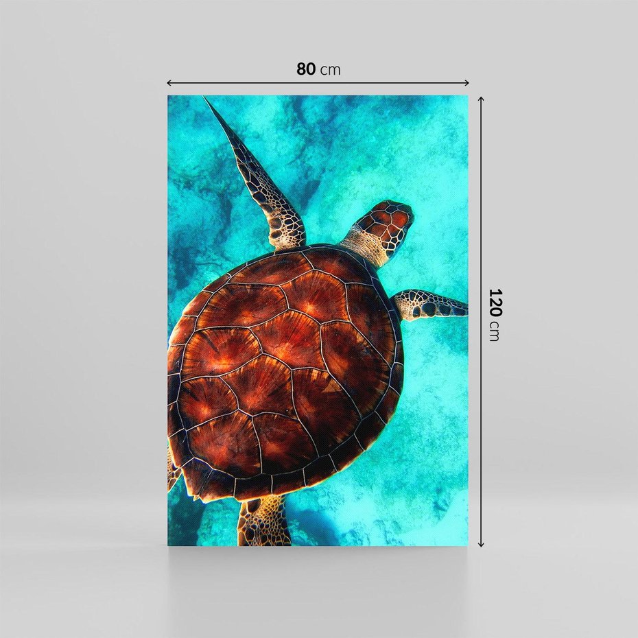 Obraz na płótnie 80x120 - Morze, fale i skały - żółw, morze