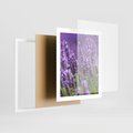Plakat w ramie 40x50 - Urok lawendy - lawenda, kwiaty - rama biała