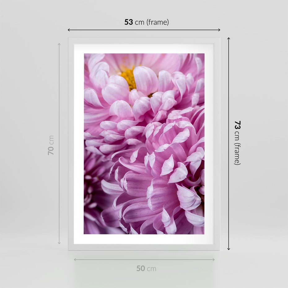 Plakat w ramie 50x70 - Fioletowy zawrót głowy - kwiat, różowy kwiat - rama biała