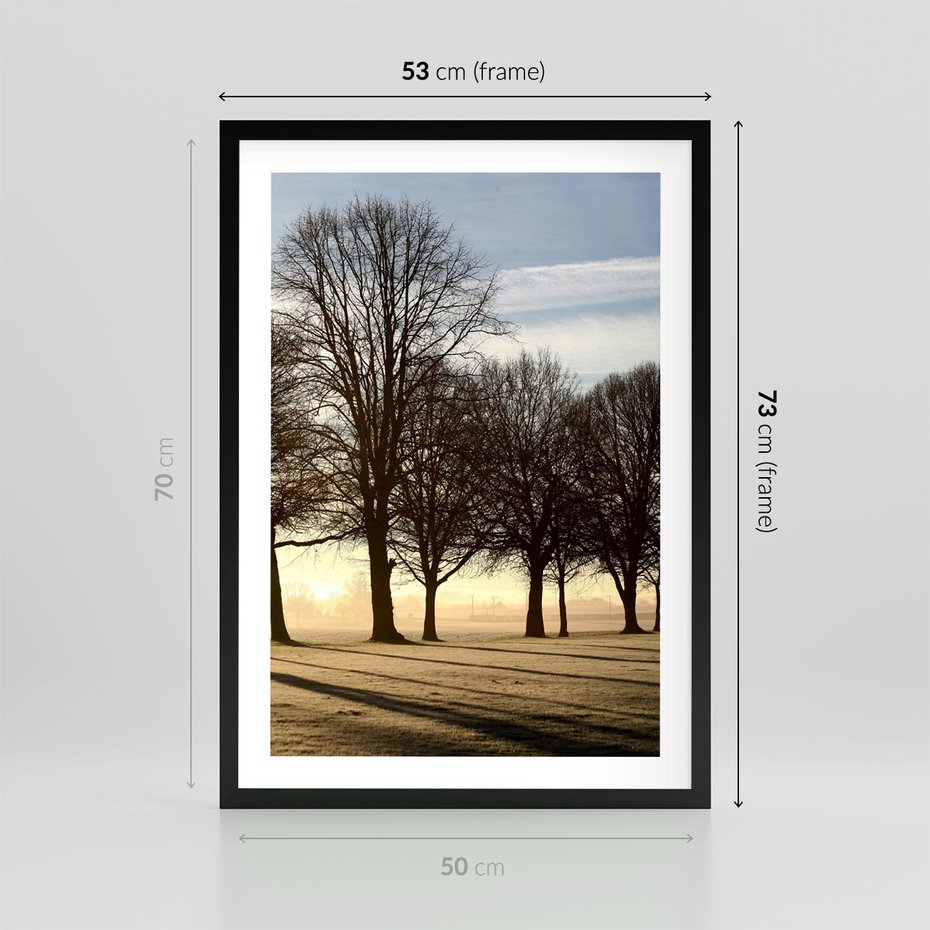 Plakat w ramie 50x70 - Siła natury - drzewa, pole - rama czarna