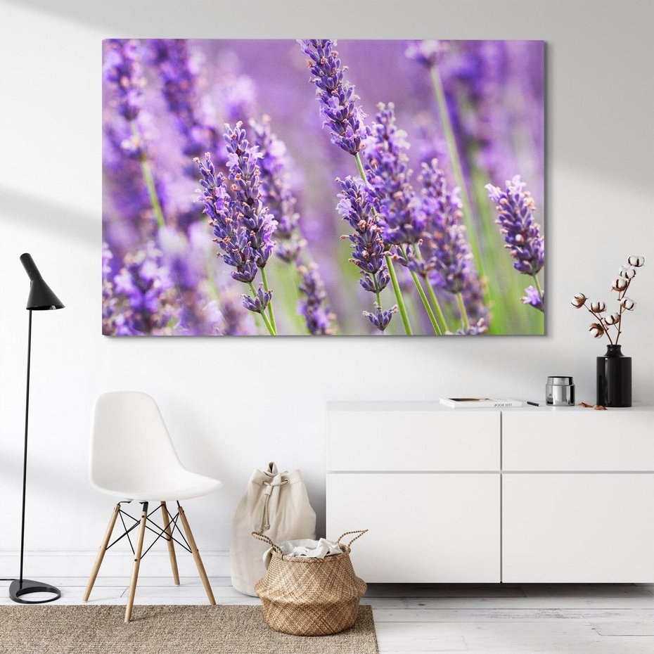 Obraz na płótnie 120x80 - Urok lawendy - lawenda, kwiaty