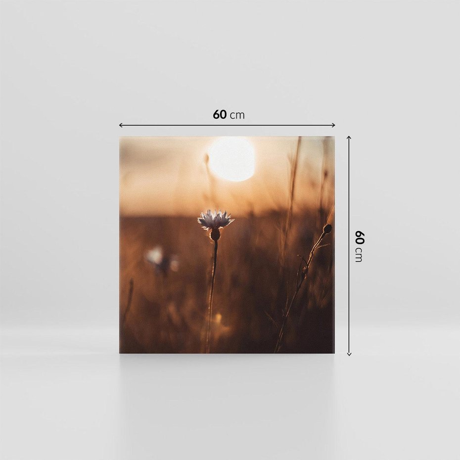 Obraz na płótnie 60x60 - Spokój łąki pod zachodem słońca - zachód, słońca