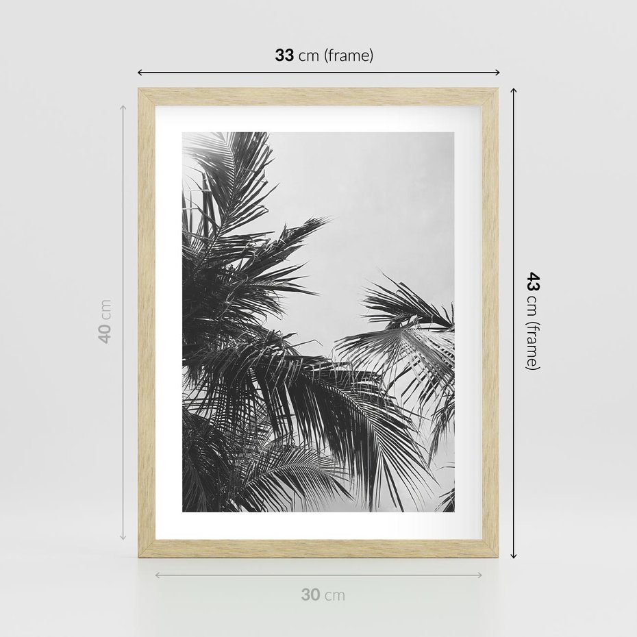 Plakat w ramie 30x40 - Palmy w Monochromii - palmy, tropikalne palmy - rama drewno