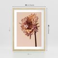Plakat w ramie 30x40 - Delikatne piękno - suche, kwiaty - rama drewno